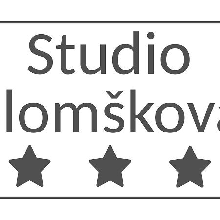 Апартаменты Slomskova Любляна Экстерьер фото